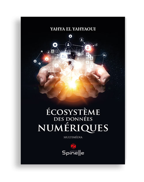 Écosystème des données numériques