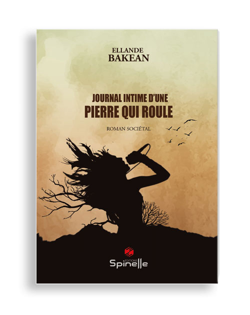 Journal intime d’une pierre qui roule